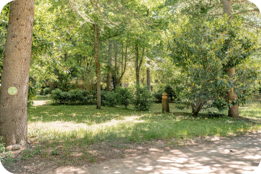 Camping Le Site de Castelbouc - Ställplatser